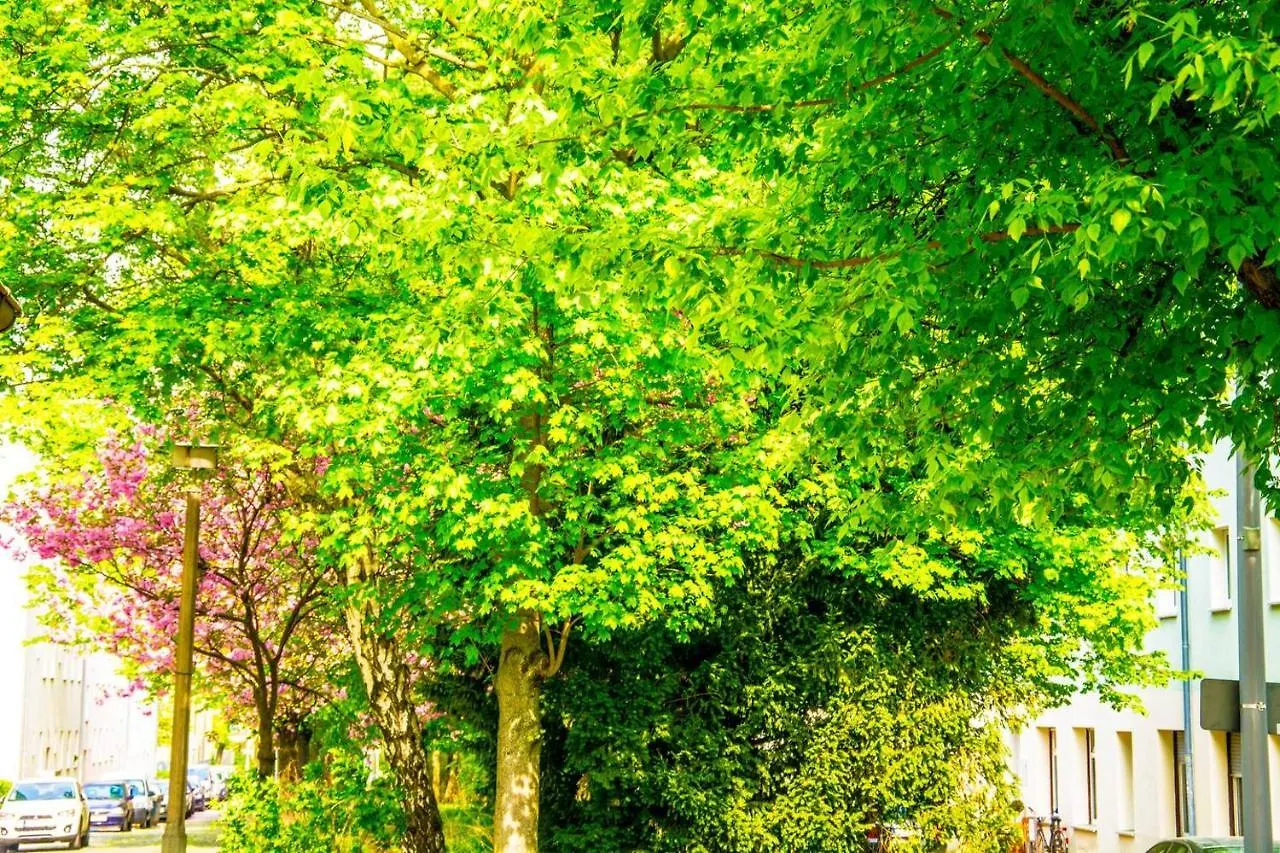 Apartment With 3 Bedroom +1.5 Bthrm +A/C In Prenzlauer Berg Berlin